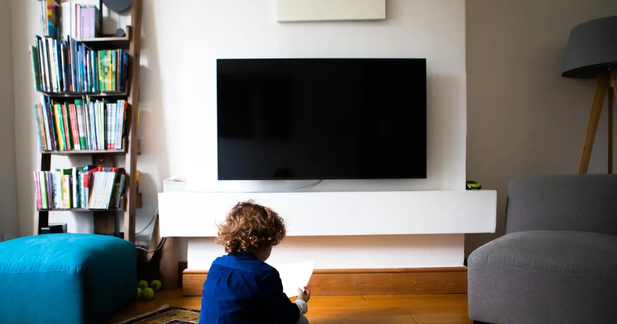 استانداردهای PAL, NTSC و SECAM چه هستند؟